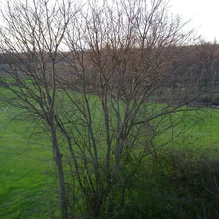 בית הארחה Robi